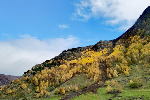 Flåm Flexible Tour with Stegastein, cruise and train include