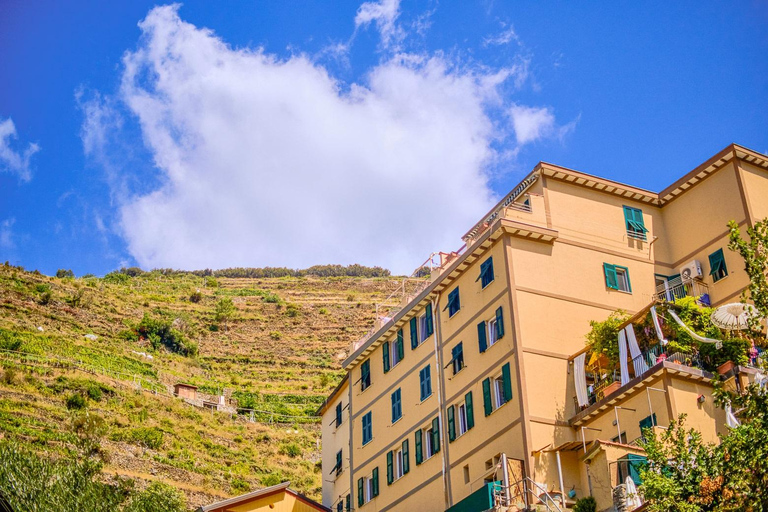 Florence: Cinque Terre and Pisa Day Trip