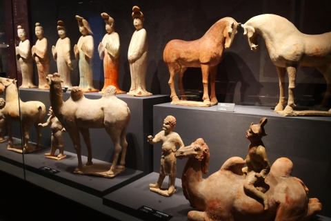 History Study to Terracotta Army &Shaanxi Archaeology Museum 2 Musuems Tickets w/ Private Transfer No Guide