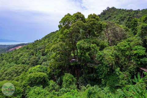 From Koh Samui: Tree Bridge Zipline and Café Experience