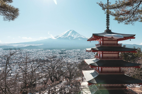 Von Tokio aus: Private Ganztagestour mit Guide zum Berg Fuji