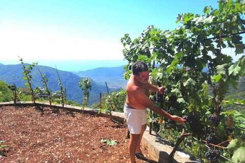 Unique gastro experience with locals in hills above Budva! Unique lunch experience with locals in hills above Budva!