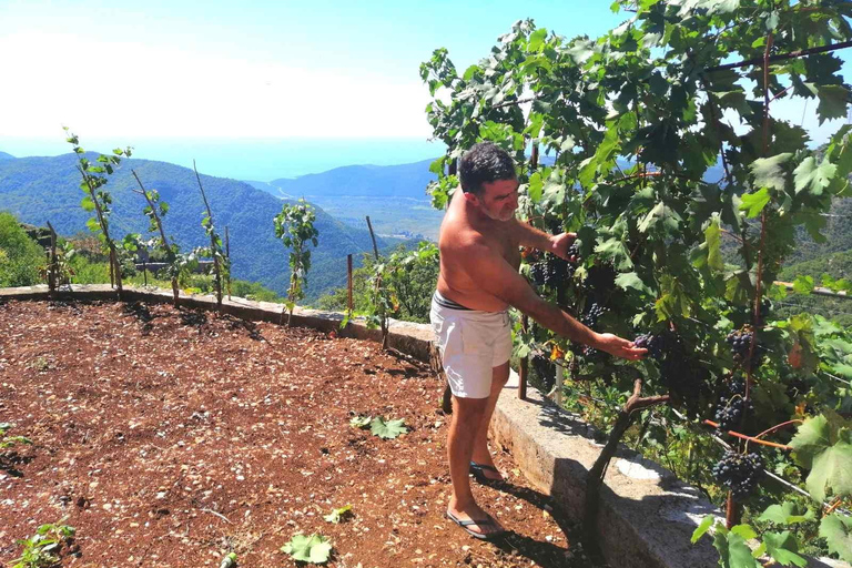 Unique gastro experience with locals in hills above Budva! Unique lunch experience with locals in hills above Budva!