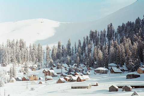 From Batumi: Bakhmaro Winter Tour with Nabeghlavi Stop