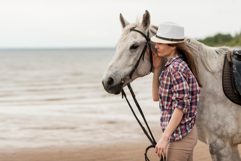 Saintes-Maries-de-la-Mer: Camargue Horseback Ride 2 Hour Ride