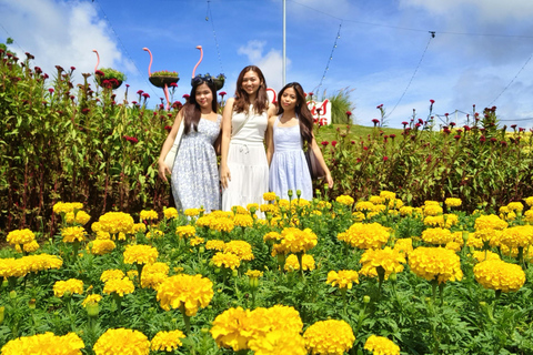 Tagaytay: Crucero por el lago Taal y excursión de un día a Tagaytay desde Manila