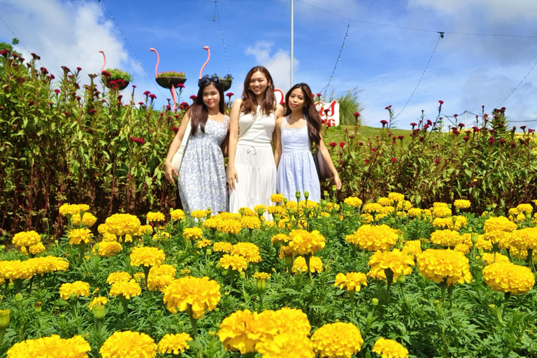 Tagaytay: Crociera sul lago Taal e tour di un giorno a Tagaytay da Manila