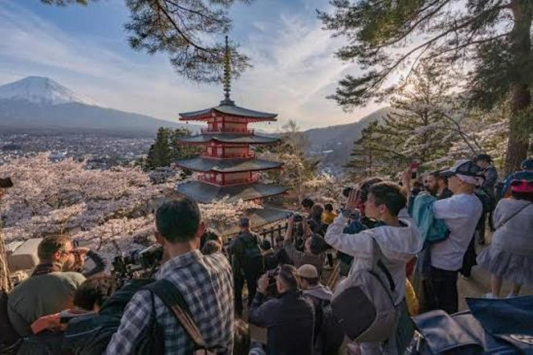 Tokyo:Mount Fuji Explorer Private Tour(Customised)With Guide
