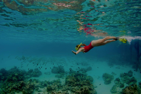 Da Nang/Hoi An: Cham Islands Snorkeling or Scuba Diving Diving in Cham Islands with an instructor