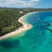 Moreton Island: Tangalooma Day Trip with Desert Safari