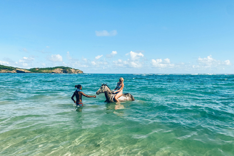 St. Lucia: Private Horseback Riding Tour with Sandy Hoofs