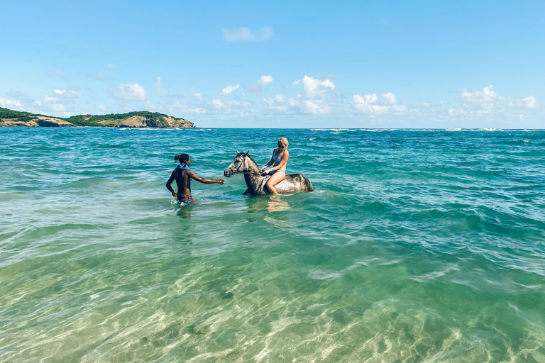 St. Lucia: Private Horseback Riding Tour with Sandy Hoofs