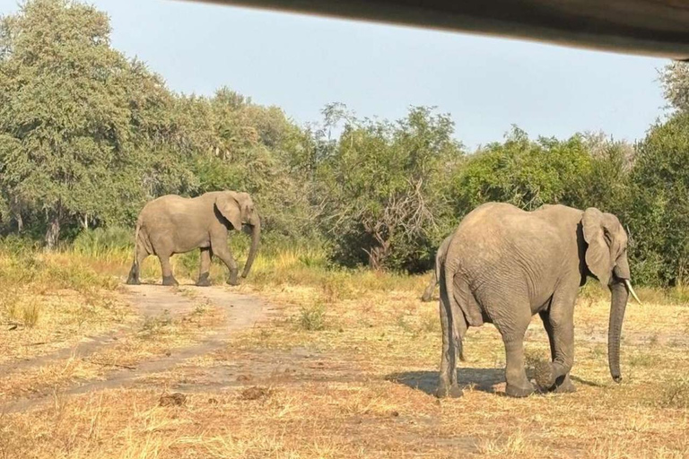 from Zanzibar: 3-Days Mikumi national park Safari with Train