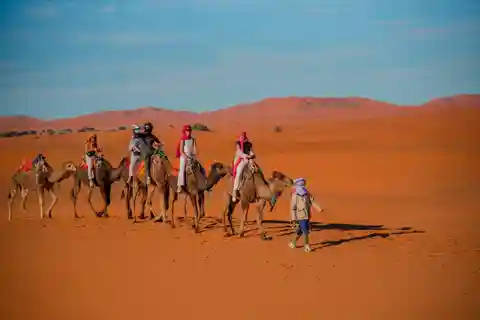 De Fez a Marrakech: tour de 2 días por el desierto, camello y espectáculo con cena.
