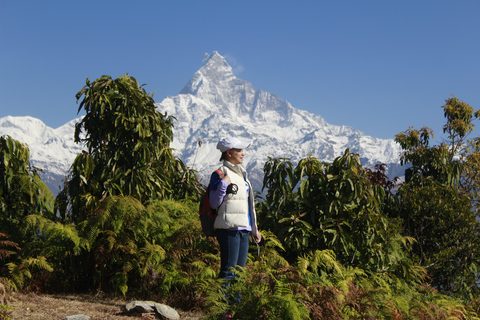 De Pokhara: Caminhada de um dia no Acampamento Australiano com guia local