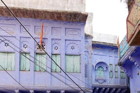 Visite du fort Mehrangarh et de la ville bleue avec un guide professionnel