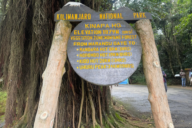 From Arusha: Kilimanjaro Mountain Day Hike