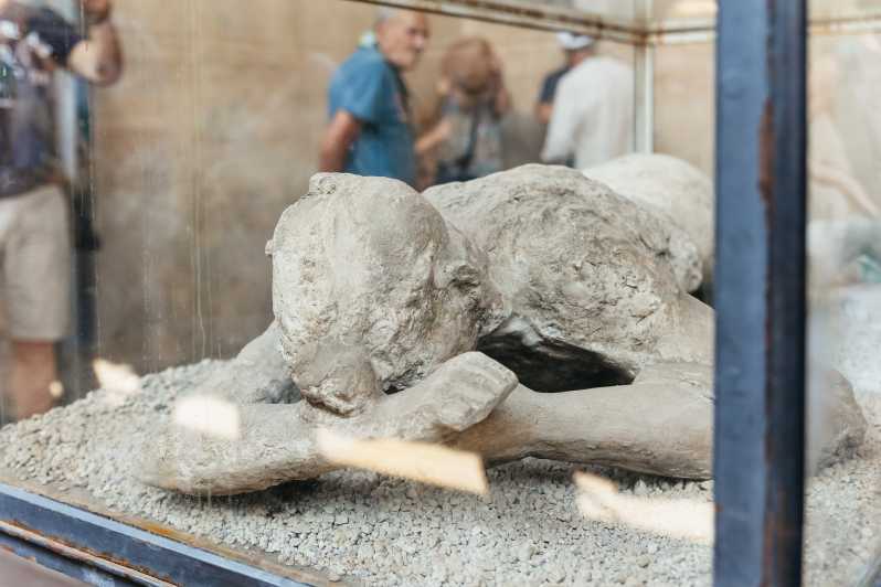 From Naples: Pompeii Ruins & Mount Vesuvius Day Tour | GetYourGuide