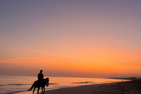 From Muscat: Horse Riding by the Beach