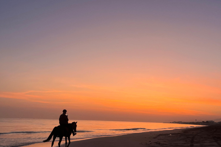 From Muscat: Horse Riding by the Beach