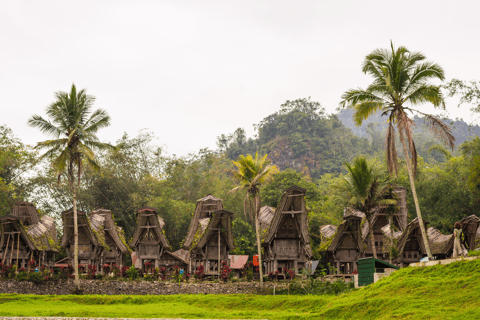 Tana Toraja: tour privato di 3D2N nel Sulawesi meridionaleTour senza voli