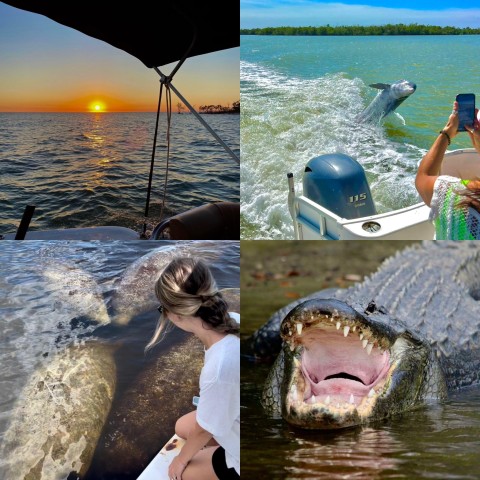 Visit Naples, FL Manatee, Dolphin, 10,000 Islands Sunset Cruise in Marco Island