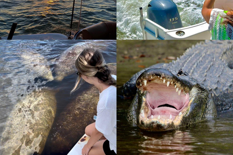 Naples, FL: Manatee, Dolphin, 10,000 Islands Sunset Cruise Sunset Cruise for Large Groups of 7 People or More