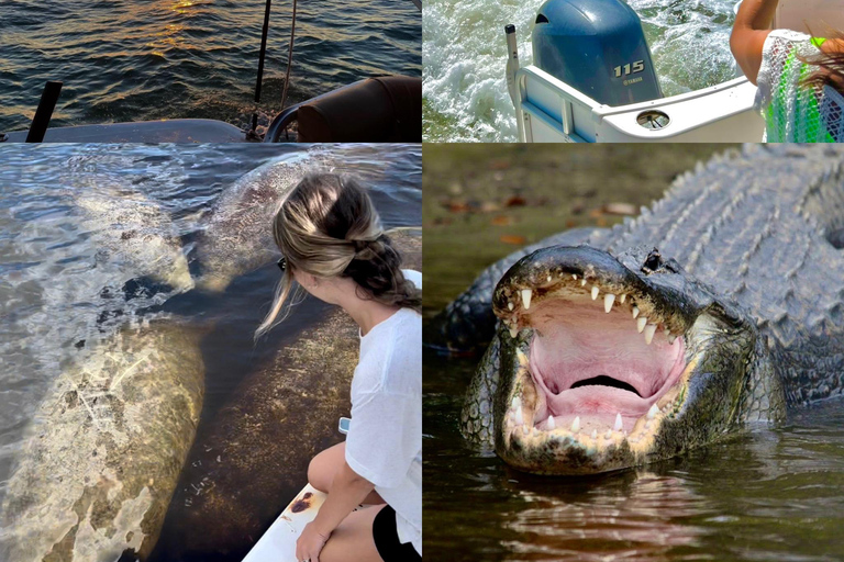 Naples, FL: Manatee, Dolphin, 10,000 Islands Sunset Cruise Sunset Cruise for Large Groups of 7 People or More