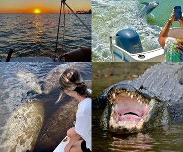 Naples, FL: Manatee, Dolphin, 10,000 Islands Sunset Cruise