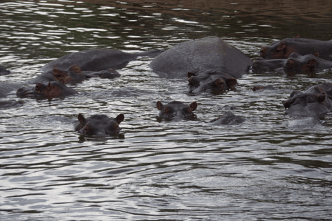 Tanzania: 13-Day Safari & Zanzibar Beach Holiday