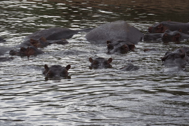 Tanzania: 13-Day Safari & Zanzibar Beach Holiday