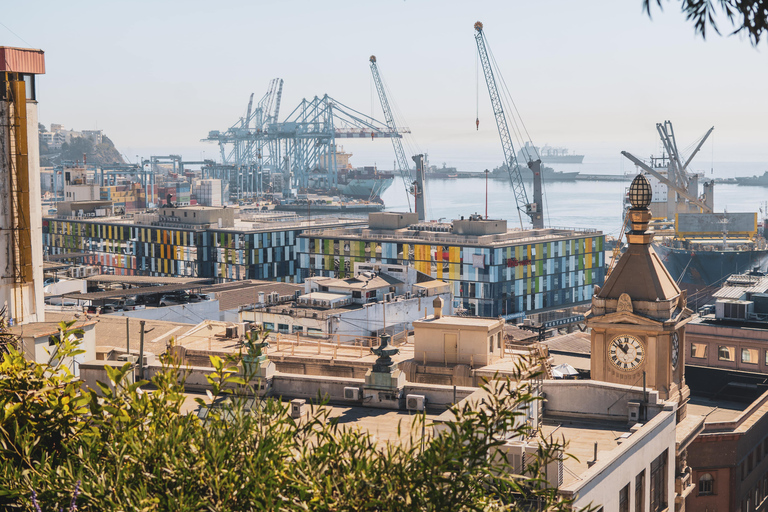 Santiago: Valparaíso, Viña del Mar e cantina Casas del Bosque con pranzo