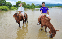 Huatulco, Turtle Release, Reiten und Biolumineszenz - Hizvo