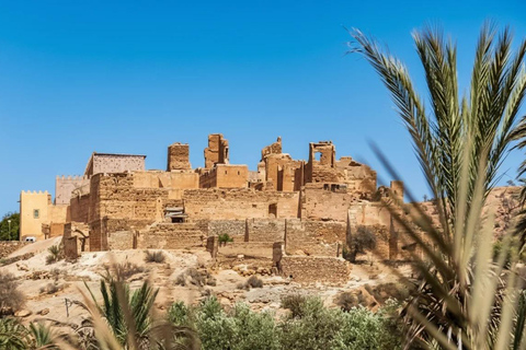 From Agadir: Taroudant and Tiout Oasis Day Trip with Lunch