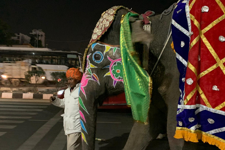 Jaipur: Tour noturno de Tuk-Tuk com um motorista local amigávelTuk-Tuk noturno