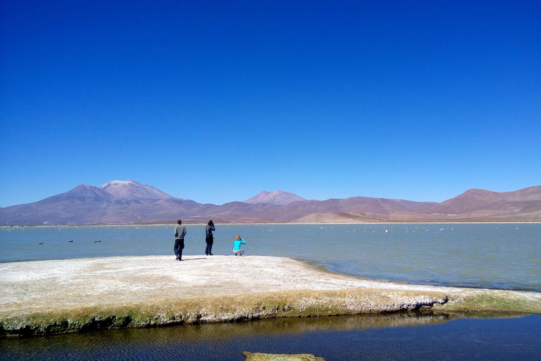 From La Paz: Sajama & Uyuni Salt Flats 4-Days Scenic Journey