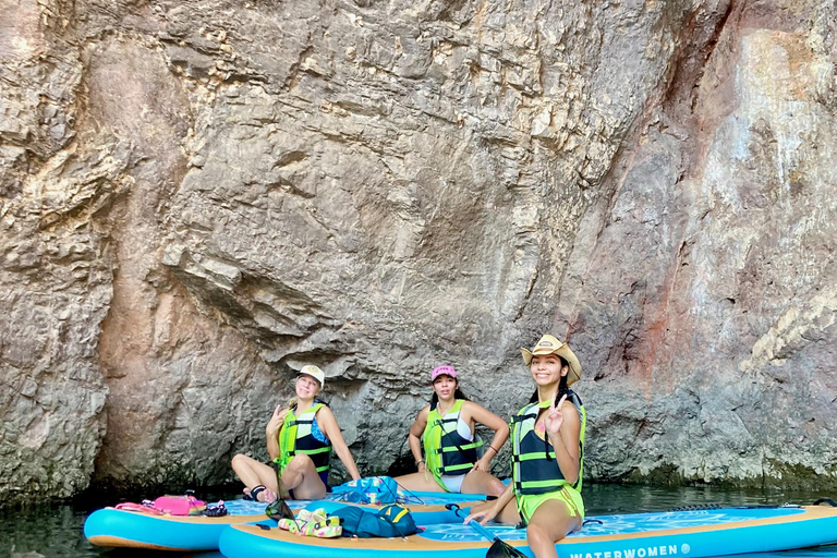 Plage de Willow : Location de paddle board