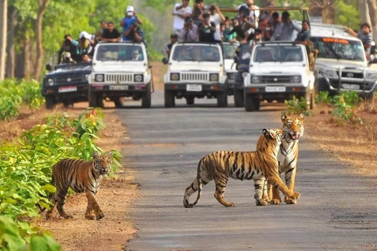 From Delhi: Same-Day Wildlife Safari at Sriska and Jhalna Tour with Transportation and Guide only