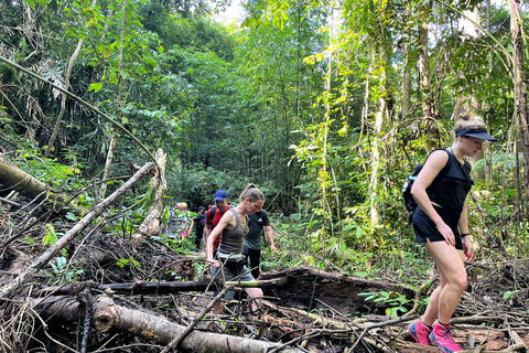From Phuket: Guided Rainforest Hike with Lunch