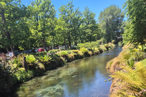 Christchurch Private Scenic Highlights Tour with Local Guide