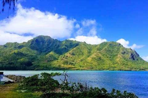 Oahu: North Shore Circle Island Small-Group Tour