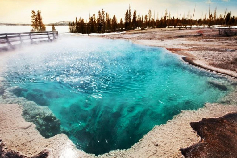 Grand Teton,Yellowstone National Park 3-Day Tour from SLC