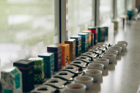 Colombo: Ceylon Tea Tasting Experience with Attractions