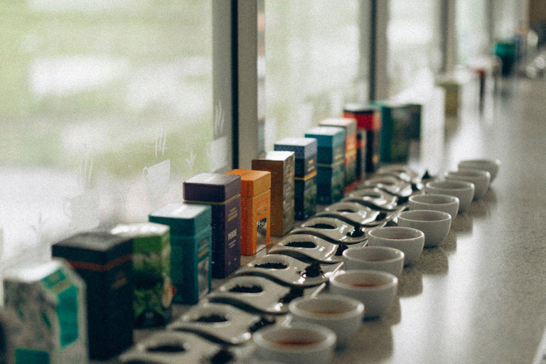 Colombo: Ceylon Tea Tasting Experience with Attractions