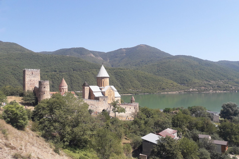 Excursão guiada particular de 1 dia para as montanhas Gudauri e Kazbegi