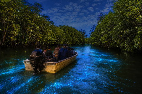 From Kuala Lumpur: Skyline Luge, Fireflies & Blue Tears Tour
