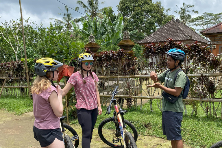 Ubud : PRIVATE Bike Tour inside Rice Field Ubud Countryside Sharing Group