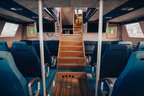Húsavík: Whale Watching Tour with Heated Indoor Seating