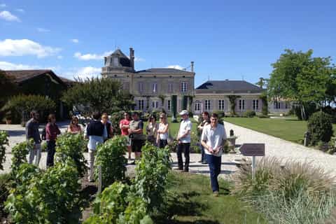 From Bordeaux: Afternoon Saint-Emilion Wine Tasting Trip