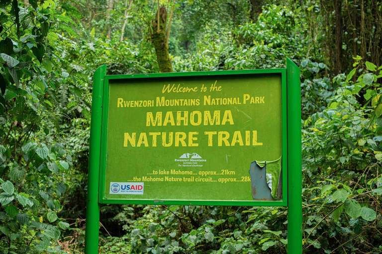 From Kampala: 6-Day Gorillas, Chimpanzees and Rwenzori Tour